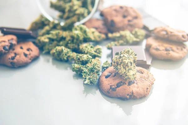 What You Need to Know Before Visiting a Las Vegas Dispensary