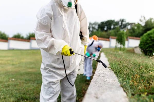 Reliable Pest Control Walthamstow Solutions for Residential Properties